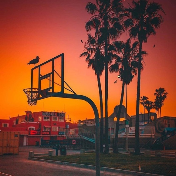 Meet your Posher, Sergio - Picture 1 of 1